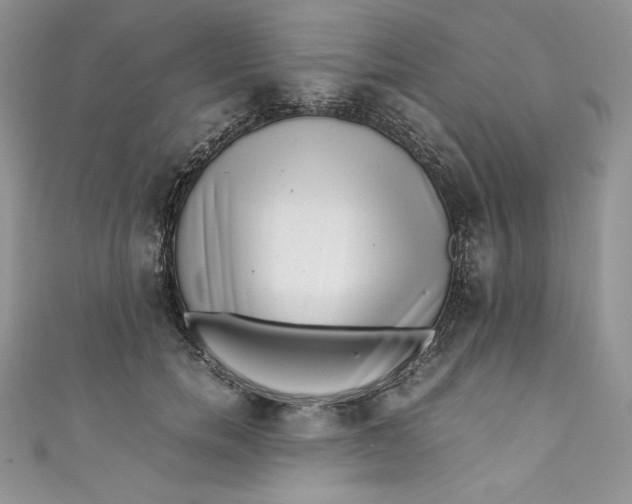 X0000111010750200907060955