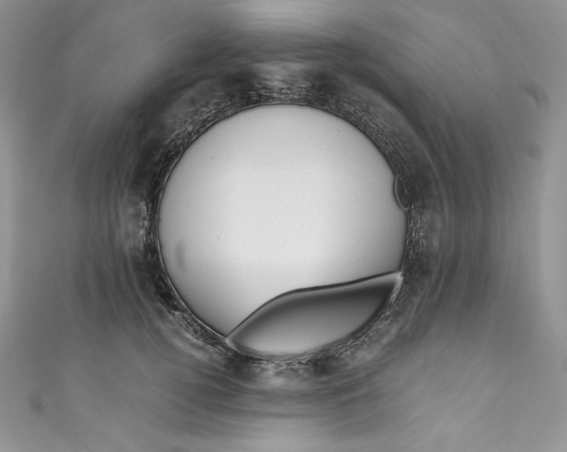 X0000111010752200907060955
