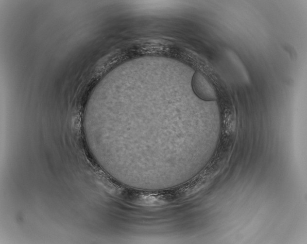 X0000111010753200907060955