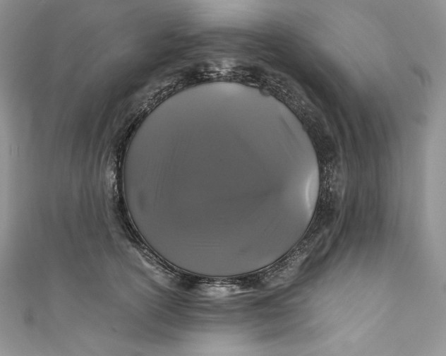 X0000111010754200907060955