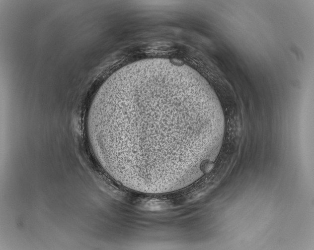 X0000111010755200907060955
