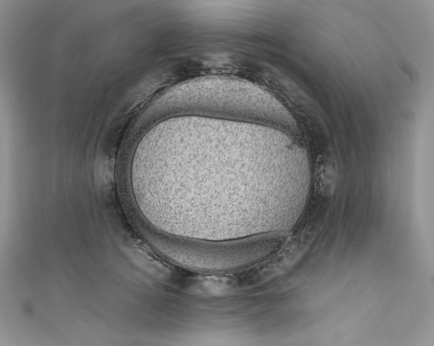 X0000111010756200907060955