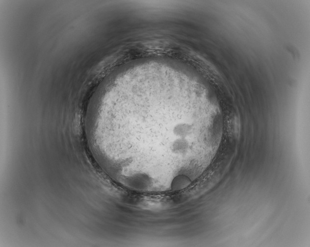 X0000111010757200907060955