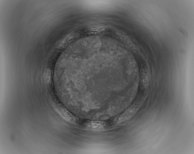 X0000111010758200907060955
