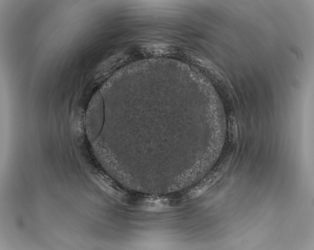 X0000111010760200907060955