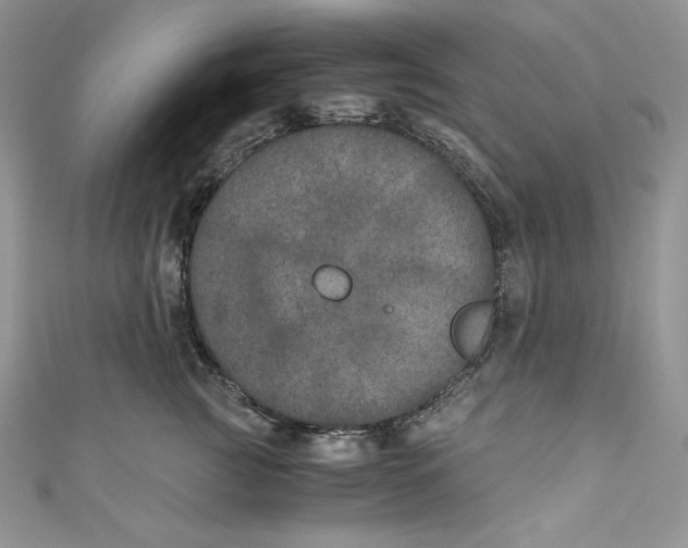 X0000111010761200907060955