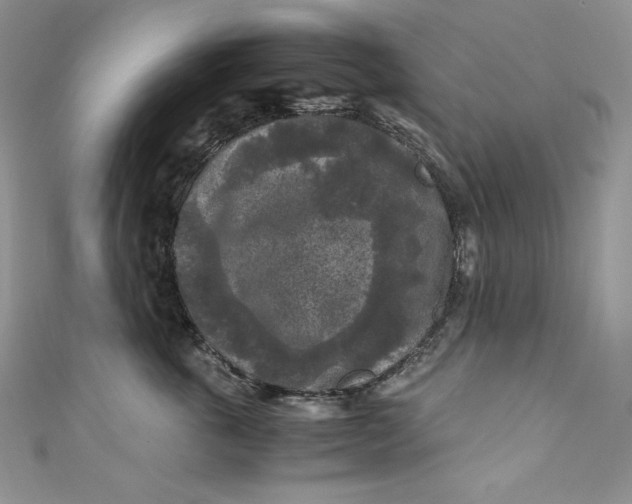 X0000111010763200907060955