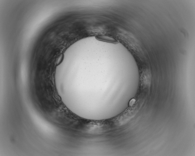 X0000111010764200907060955