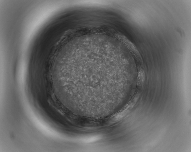 X0000111010765200907060955