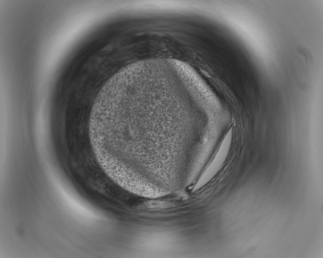 X0000111010766200907060955