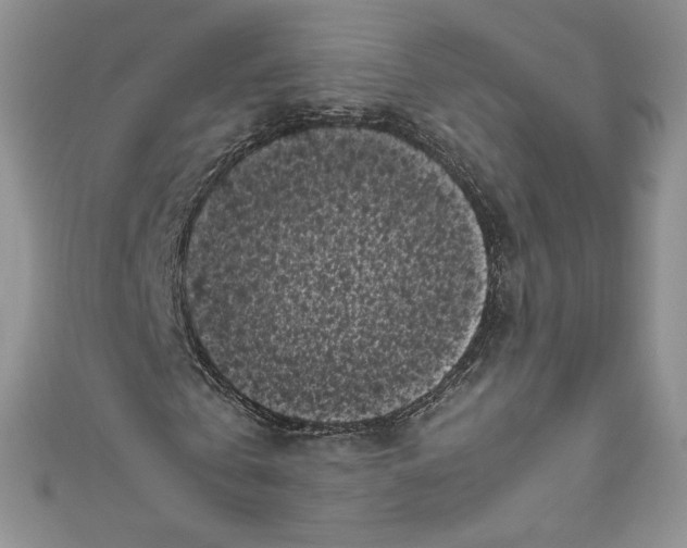 X0000111010769200907060955
