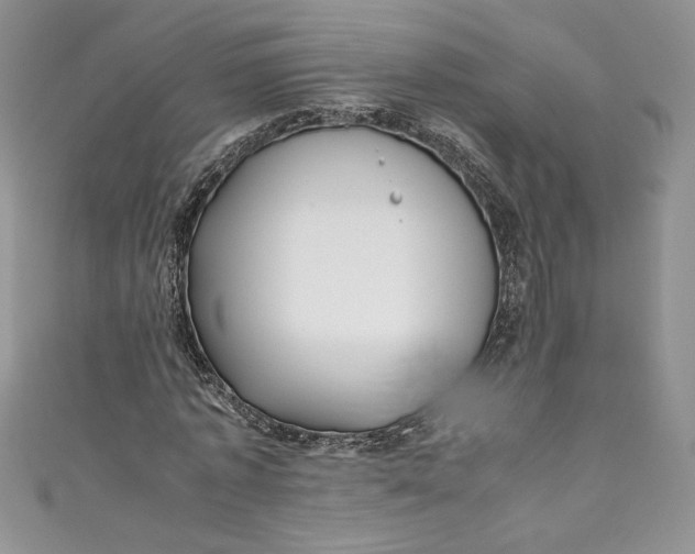 X0000111010773200907060954