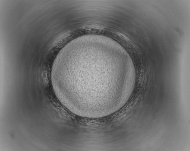X0000111010774200907060954