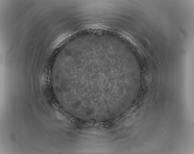 X0000111010775200907060954