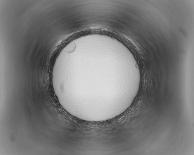 X0000111010776200907060954