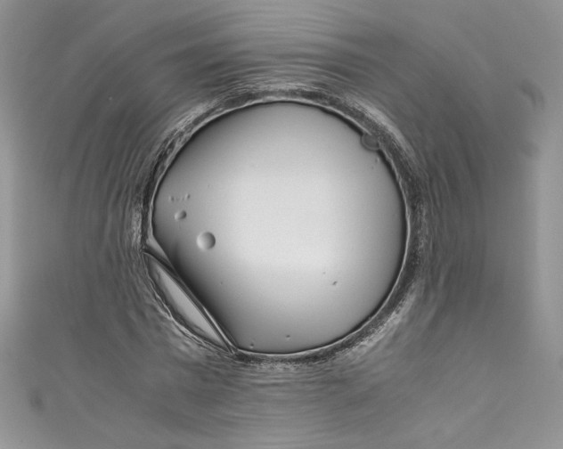 X0000111010777200907060954