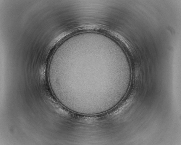 X0000111010778200907060954
