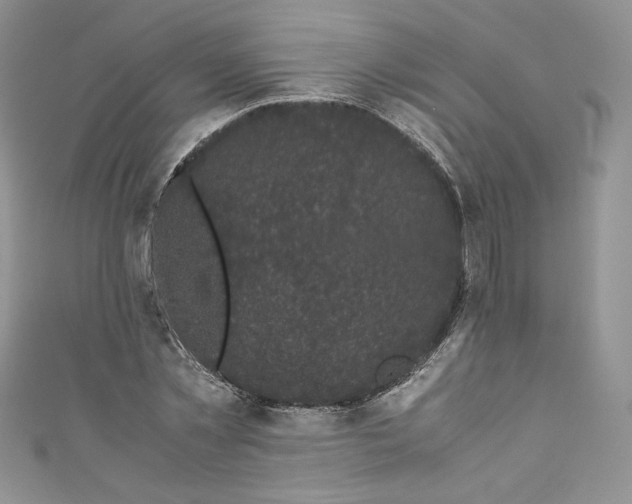 X0000111010781200907060954