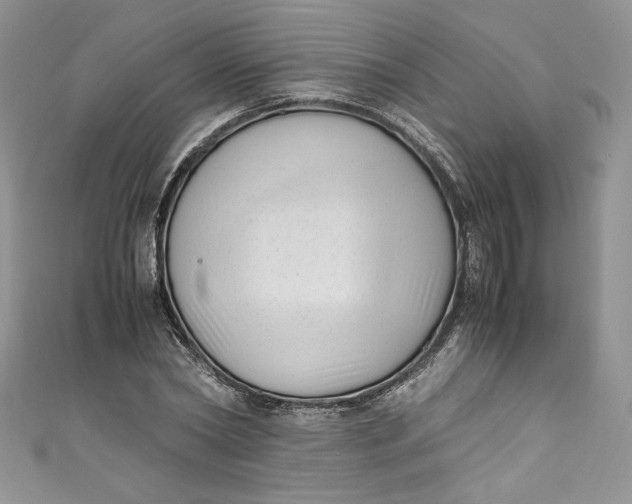 X0000111010782200907060954