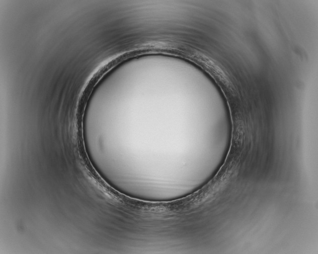 X0000111010784200907060954