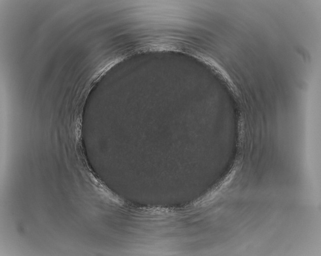 X0000111010785200907060954