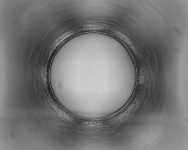 X0000111010786200907060954