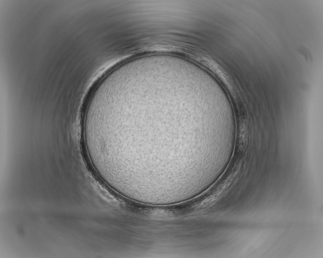 X0000111010787200907060954