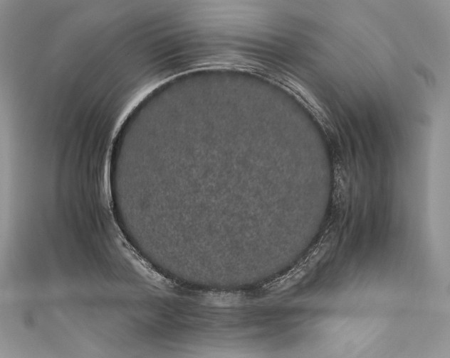 X0000111010788200907060954