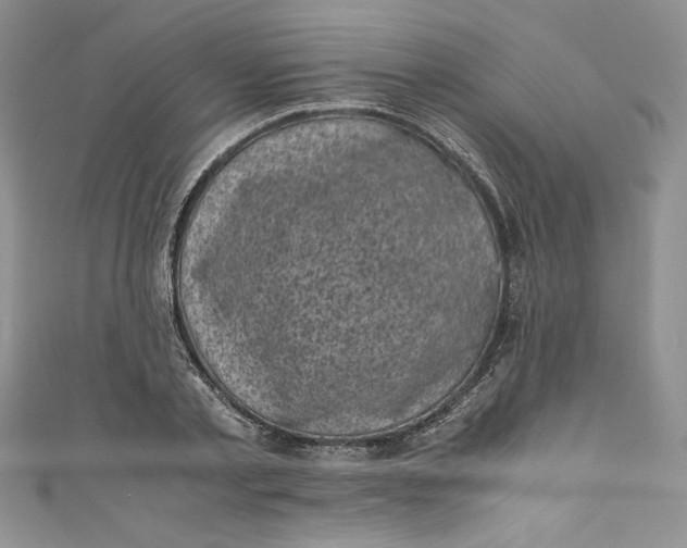 X0000111010789200907060954