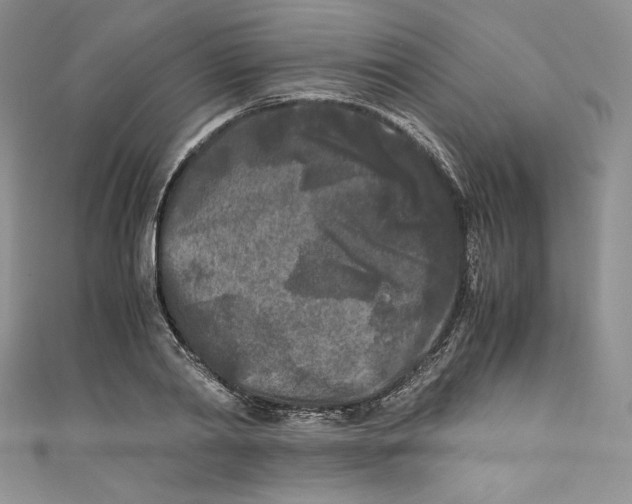 X0000111010790200907060954