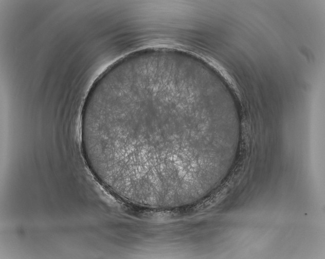 X0000111010791200907060954