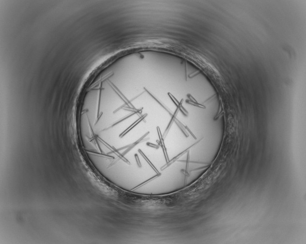 X0000111010792200907060954