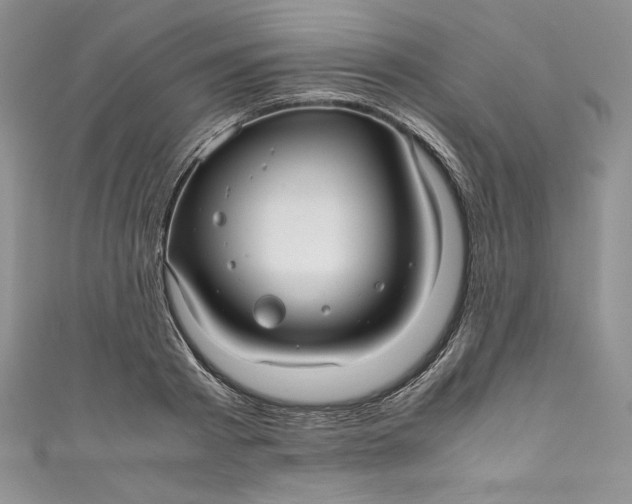 X0000111010793200907060954