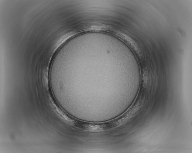 X0000111010794200907060954