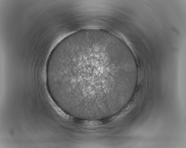 X0000111010795200907060954