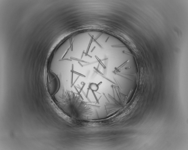 X0000111010796200907060954