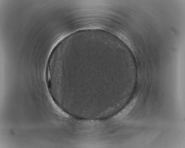 X0000111010797200907060954