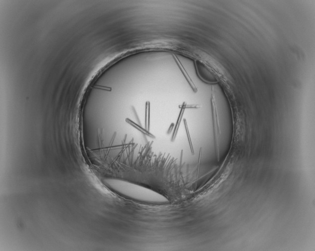 X0000111010800200907060954