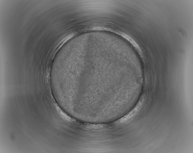 X0000111010801200907060954