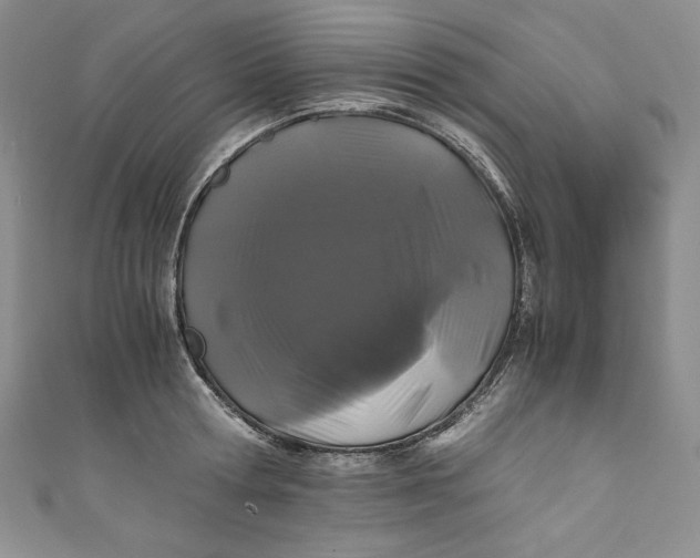 X0000111010802200907060954