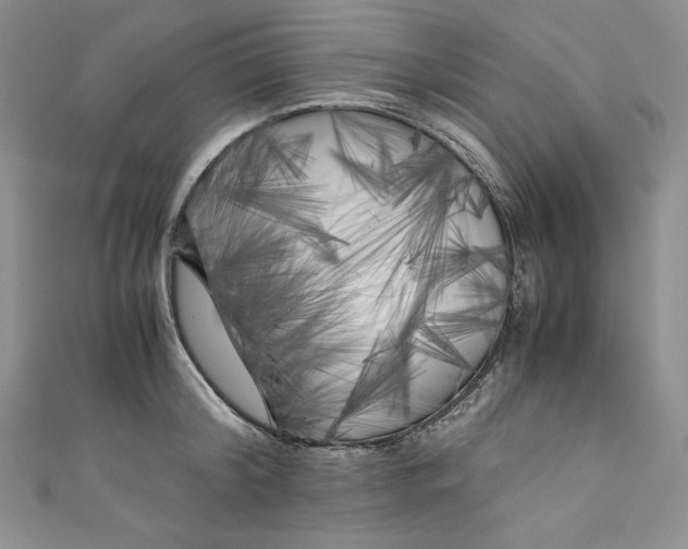 X0000111010804200907060954