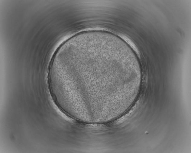 X0000111010805200907060954