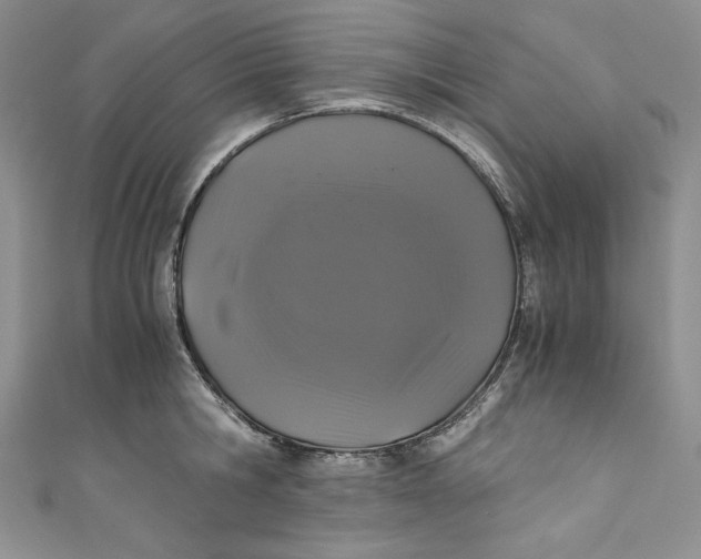 X0000111010806200907060954