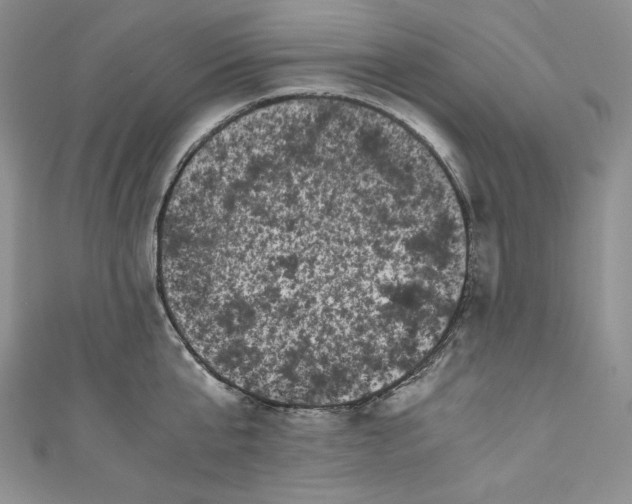 X0000111010807200907060954