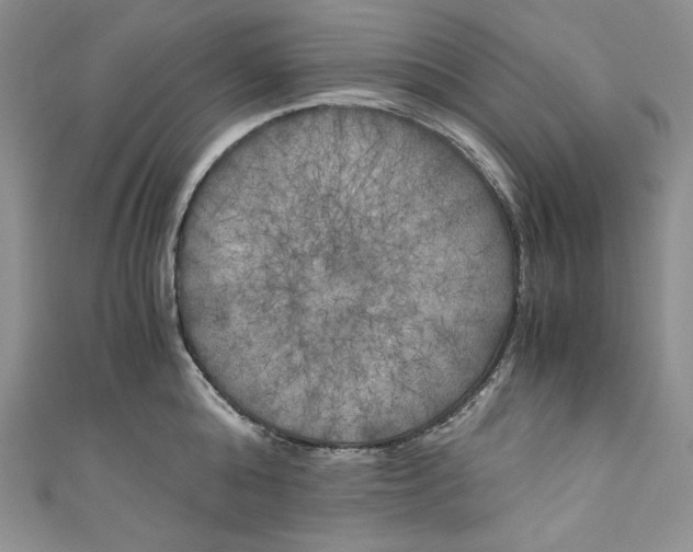 X0000111010808200907060954