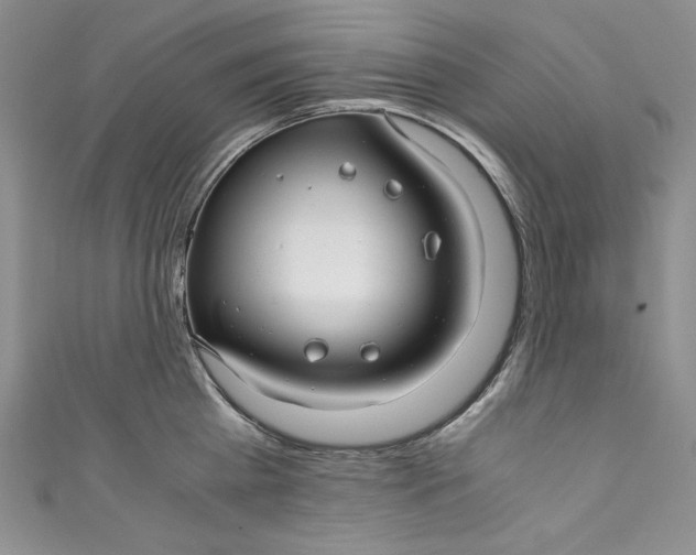 X0000111010809200907060954