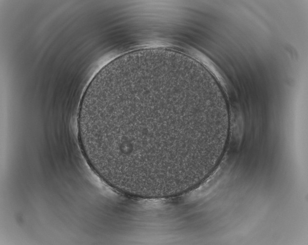 X0000111010810200907060954