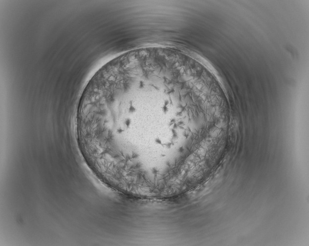 X0000111010811200907060954