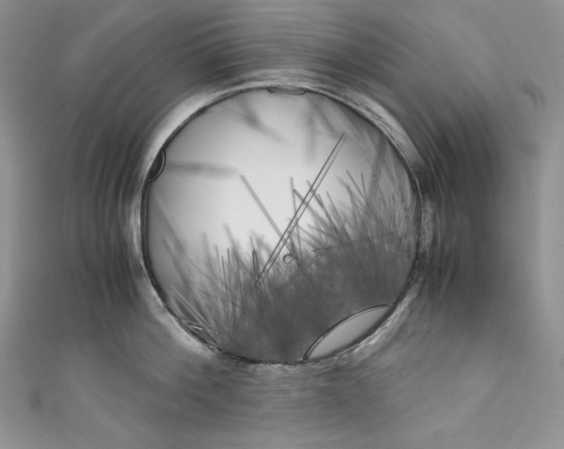 X0000111010812200907060954