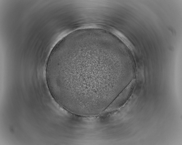 X0000111010813200907060954